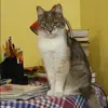 Отзыв от Юлия Савельева